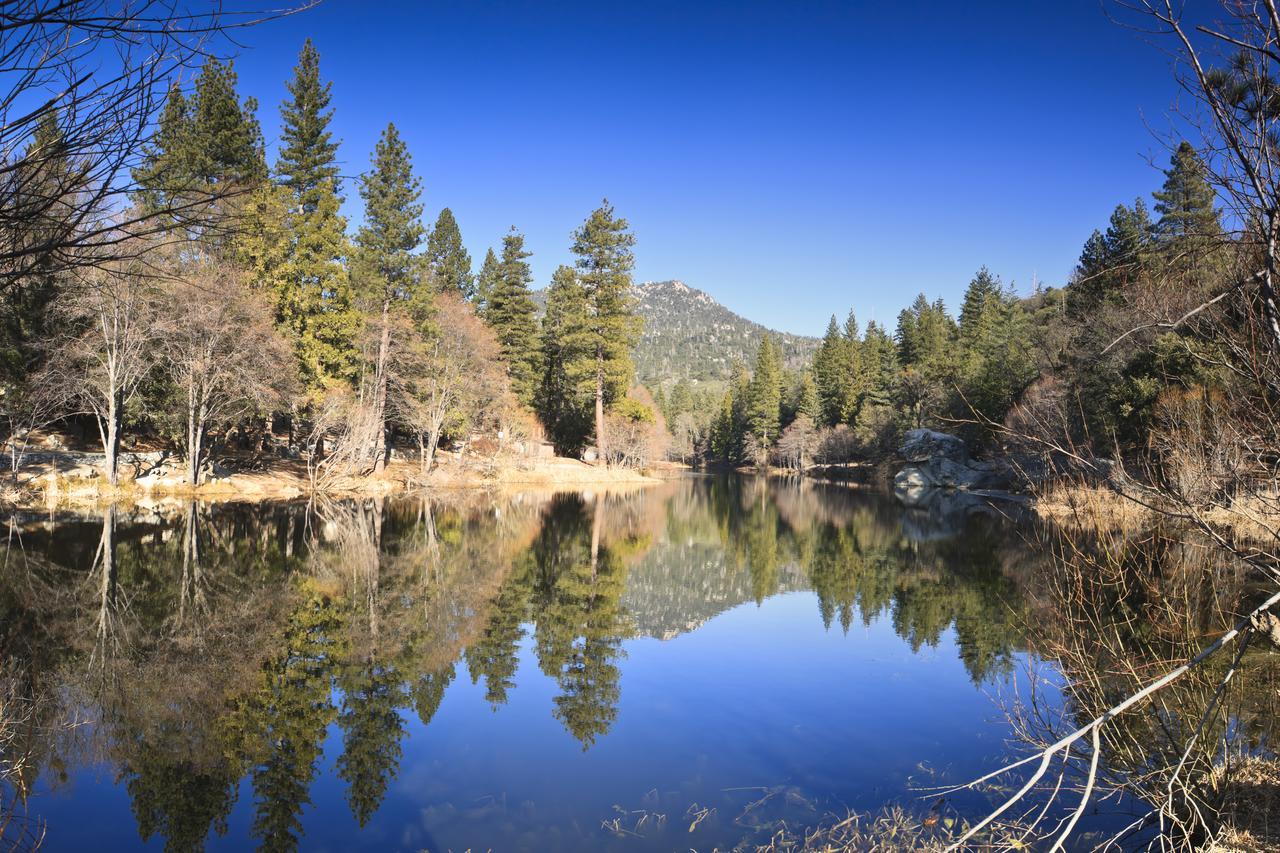 Idyllwild Bunkhouse Βίλα Εξωτερικό φωτογραφία